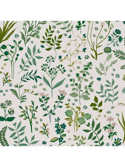 Joules Holcombe Wallpaper, Floral Creme