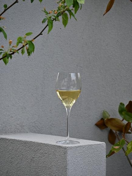 Luigi Bormioli Magnifico White Wine Glass, Set of 4, 350ml, Clear - view 2, Clear