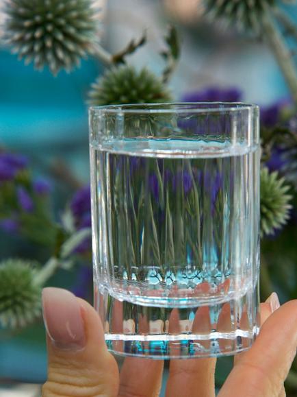 Luigi Bormioli Bach Fluted Liqueur Glass, Set of 4, 70ml, Clear - view 2, Clear