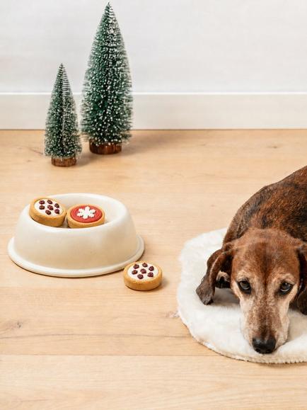 Fluff & Crumble Christmas Signature Dog Treats - view 2, Multi