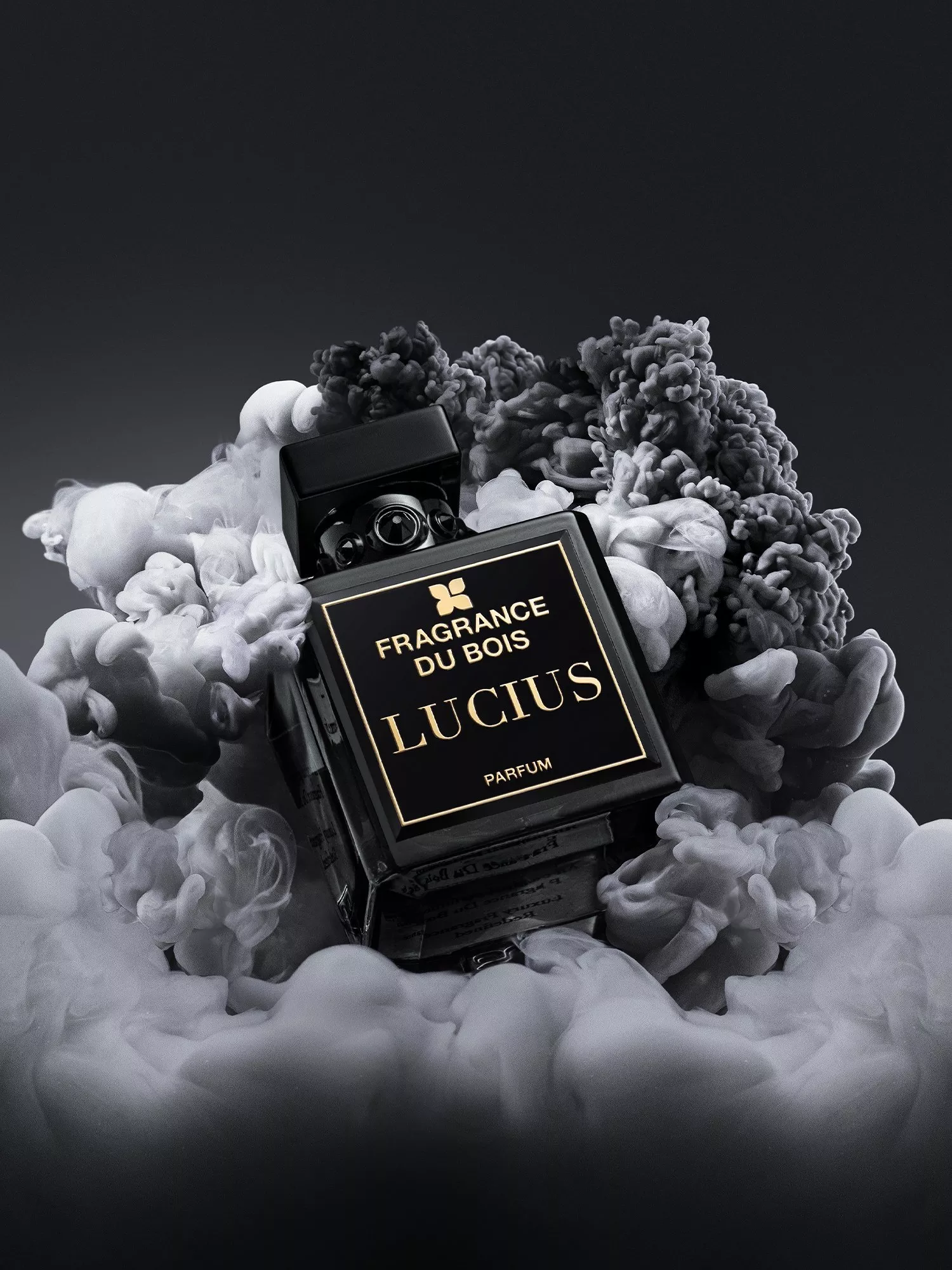 Fragrance Du Bois Lucius parfum bottle in dramatic black-and-white smoke, luxury niche fragrance product shot