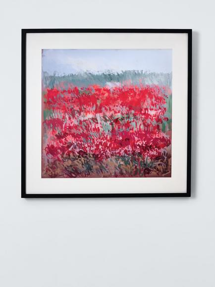 John Lewis Claire Oxley 'Poppies by the Dunes' Framed Print & Mount, 83 x 83cm, Red, Red / Black