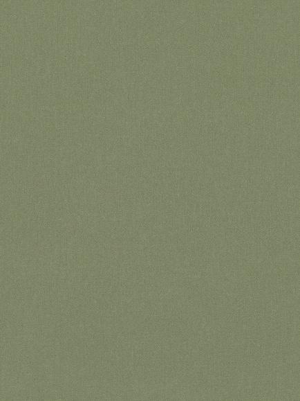 Romo Osumi Furnishing Fabric, Fern, Fern