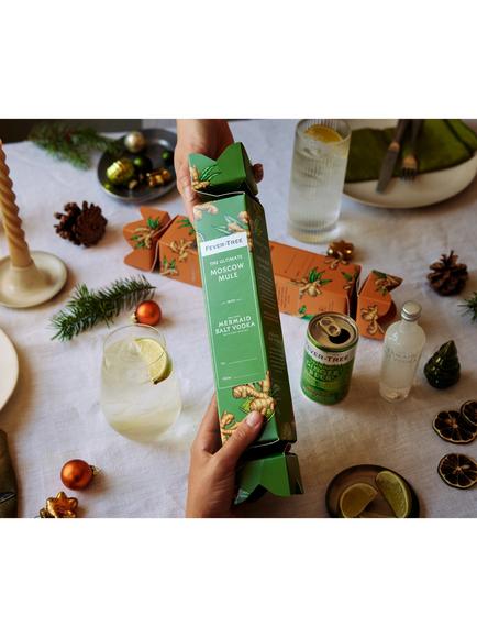 Fever-Tree The Ultimate Moscow Mule Christmas Cracker, 20cl - view 2, Multi