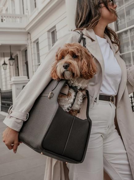 By Teddy Studio Dog Carrier, Chocolate - view 2, Chocolate