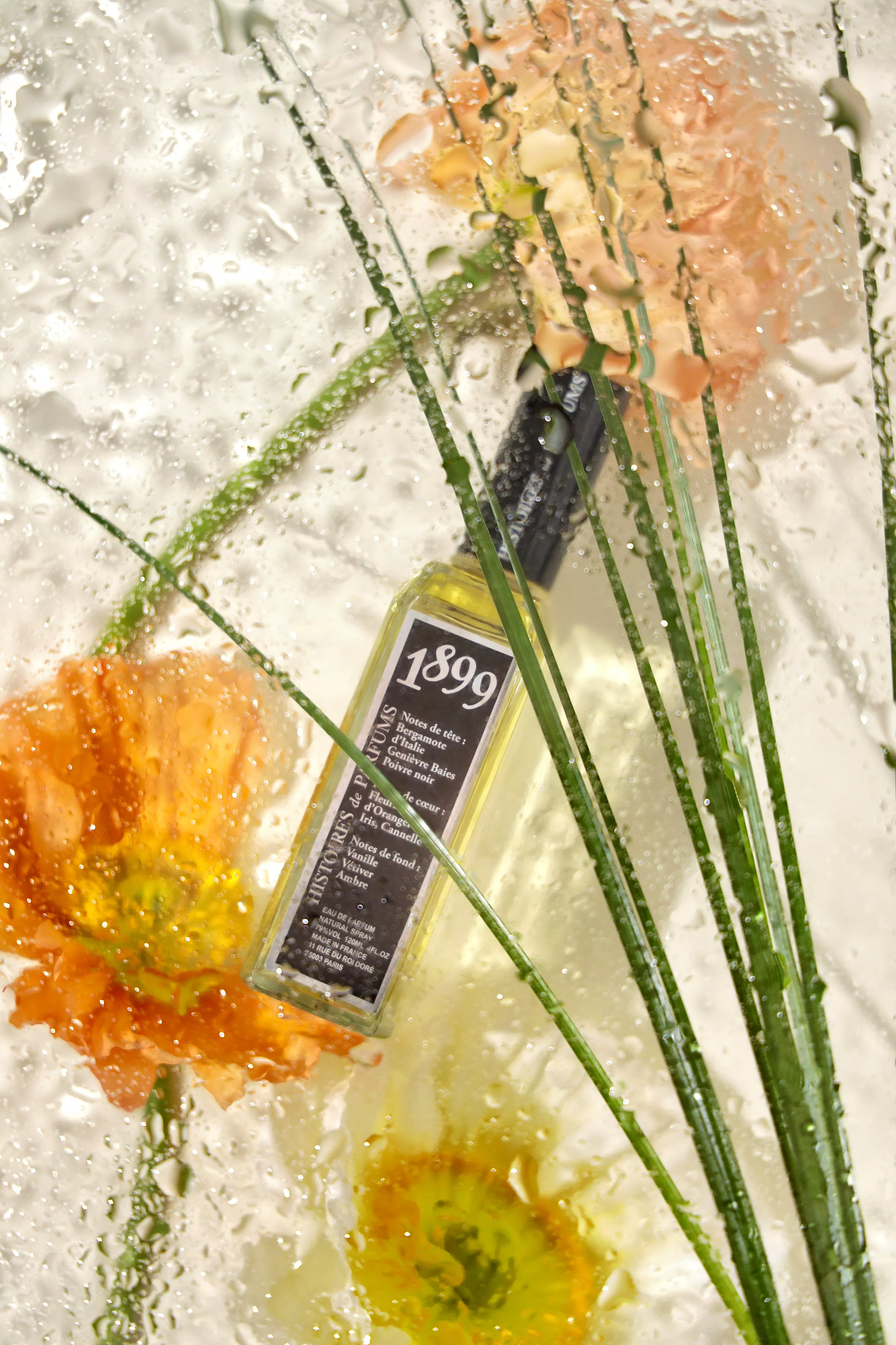 1899 eau de parfum bottle with water droplets, citrus and flowers, fresh luxury fragrance product shot