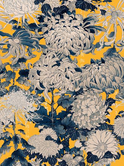 MINDTHEGAP Chrysanthemums Wallpaper, Yellow, Yellow