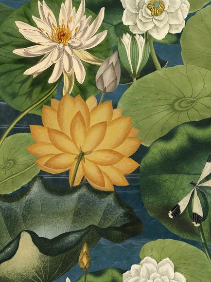 MINDTHEGAP Lotus Blossom Wallpaper, Green, Green