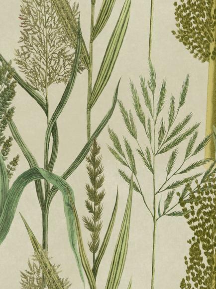 MINDTHEGAP Riverside Flora Wallpaper, Green, Green