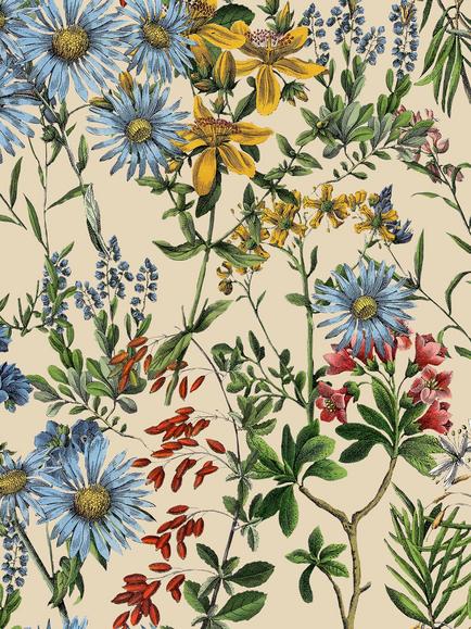 MINDTHEGAP Summerish Wallpaper, Multi, Multi