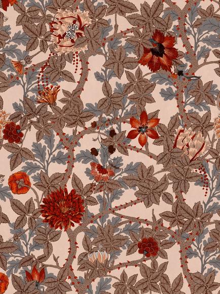 MINDTHEGAP The Flowering II Wallpaper, Brown, Brown