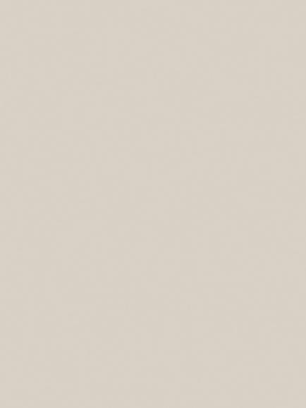 Abigail Ahern Matt Emulsion Peel & Stick Sample, Anise Greig, Anise Greige