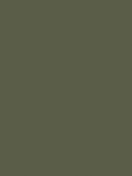 Abigail Ahern Matt Emulsion Peel & Stick Sample, Desert Saltbush, Desert Saltbush