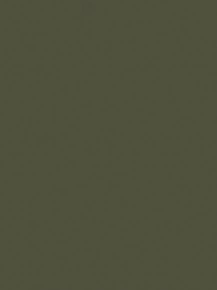 Abigail Ahern Matt Emulsion Peel & Stick Sample, Sea Botanic, Sea Botanic