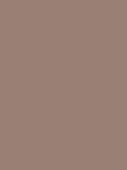 Abigail Ahern Matt Emulsion Peel & Stick Sample, Sequoia Tree, Sequoia Tree