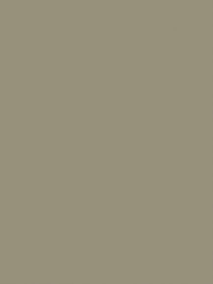 Abigail Ahern Matt Emulsion Peel & Stick Sample, Wild Millet, Wild Millet