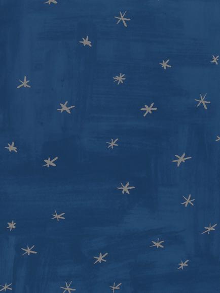 Villa Nova Twinkle Twinkle Wallpaper, Night