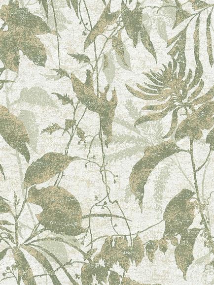 Galerie Cloud Forest Wallpaper, Hz62047
