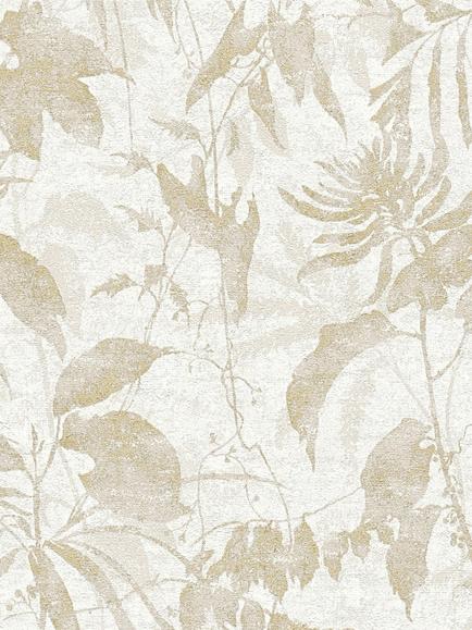Galerie Cloud Forest Wallpaper, Hz62048