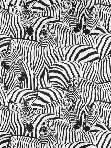 Galerie Cluster of Zebras Wallpaper Mural, WH45239M, Wh45239m