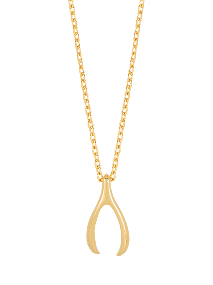 Estella Bartlett Lucky Wishbone Necklace, Gold, Gold