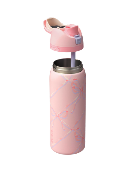 Owala FreeSip Leak-Proof Stainless Steel Drinks Bottle, 909ml, Sugar Plum Fairy - view 2, Sugar Plum Fairy