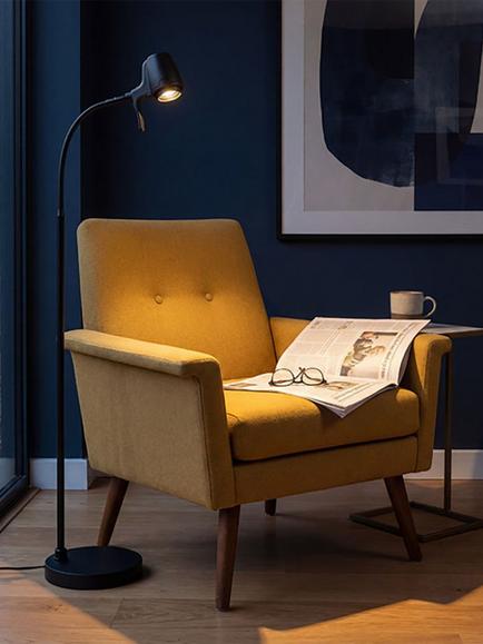 Serious Readers HD Pro Floor Lamp, Black - view 2, Black