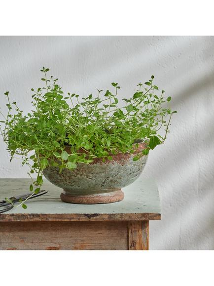 Neptune Broseley Footed Bowl, Moss - view 2, Natural