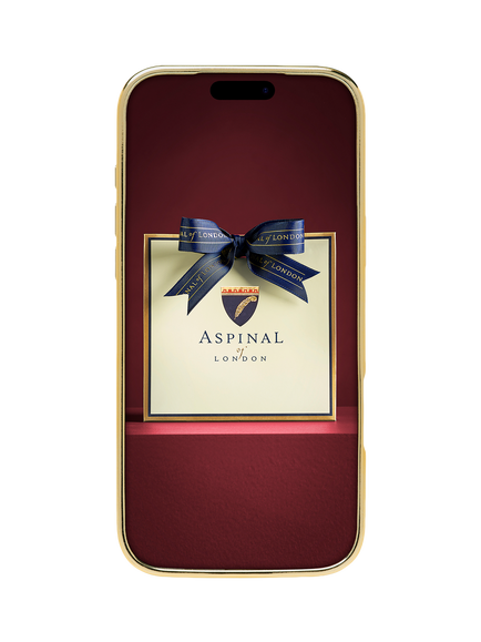 Aspinal of London iPhone 18 Max Leather Phone Case, Slate - view 2, Slate