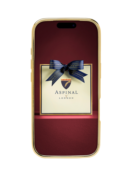 Aspinal of London iPhone 18 Pro Leather Phone Case, Garnet - view 2, Garnet
