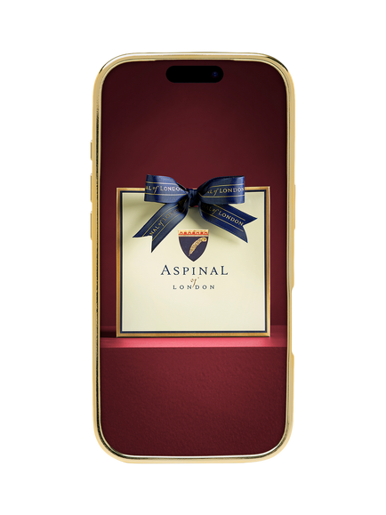Aspinal of London iPhone 18 Pro Leather Phone Case, Slate - view 2, Slate