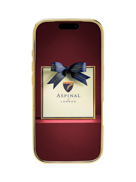 Aspinal of London iPhone 18 Pro Leather Phone Case, Amazon Brown - view 2, Amazonbrown