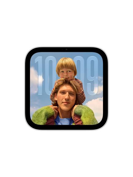 Apple HomeView (Wall Mounted), Silver