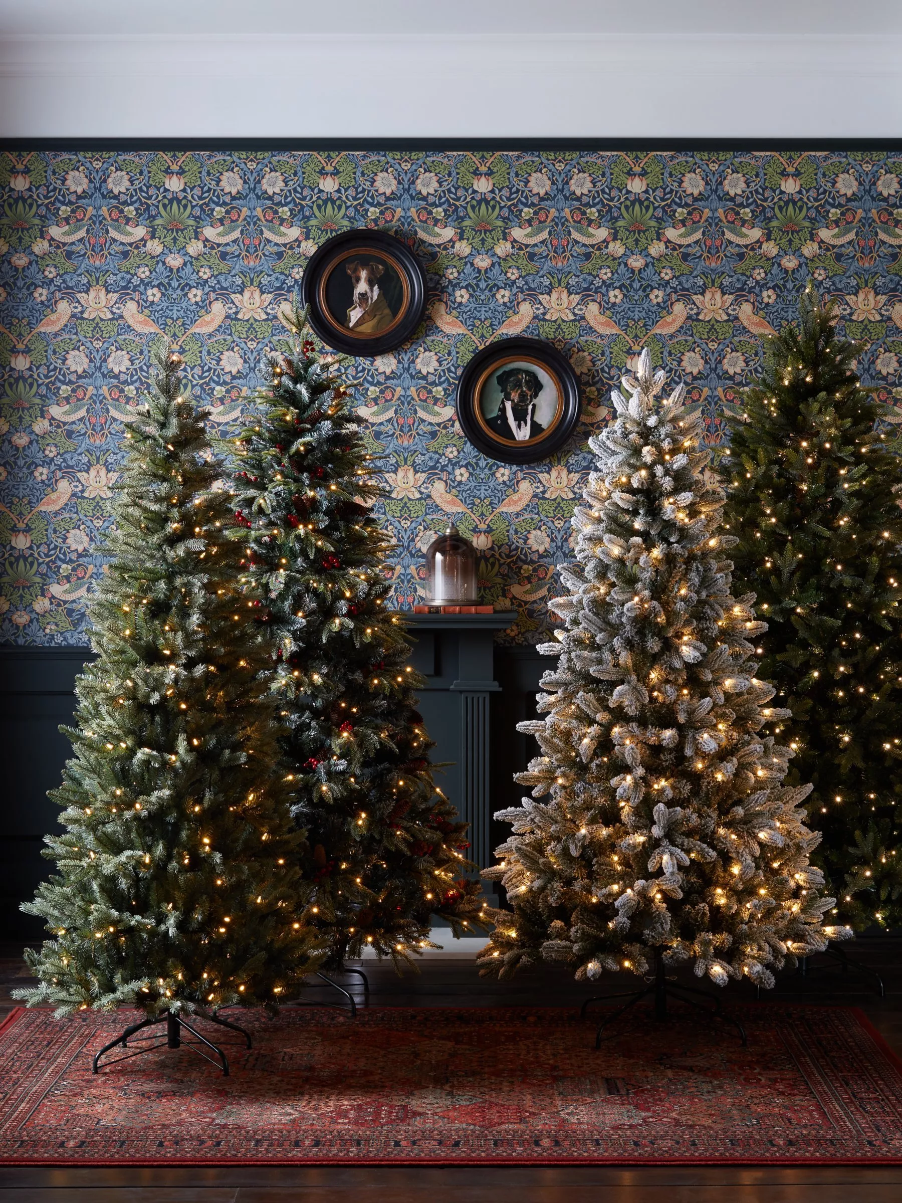 Lit Christmas trees in a cosy living room with patterned wallpaper, framed dog portraits and a red rug.