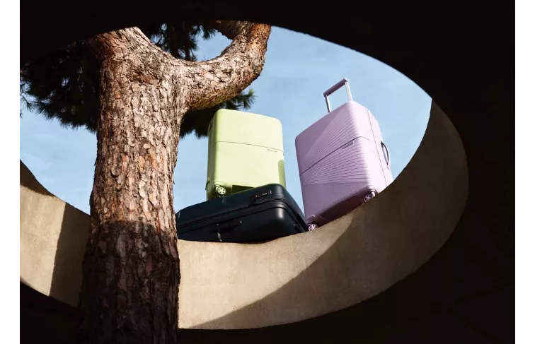 Three suitcases in purple, black and lime green stacked next to a tree outside