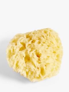 John Lewis ANYDAY Baby Natural Bath Sponge