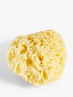 John Lewis ANYDAY Baby Natural Bath Sponge, 