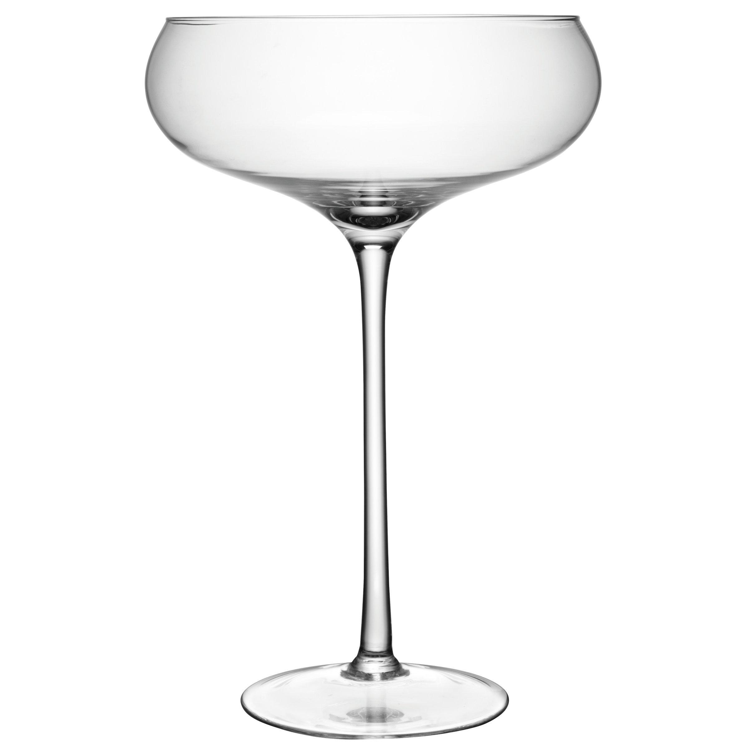LSA International Maxa Giant Champagne Coupe, 8.4L