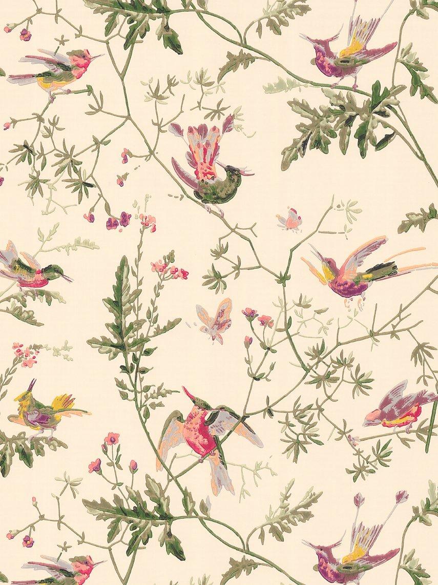 Cole & Son Hummingbirds Wallpaper