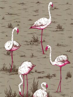Cole & Son Flamingos Wallpaper, Grey / Neon, 66/6042