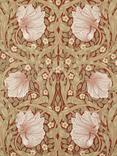 Morris & Co. Pimpernel Wallpaper