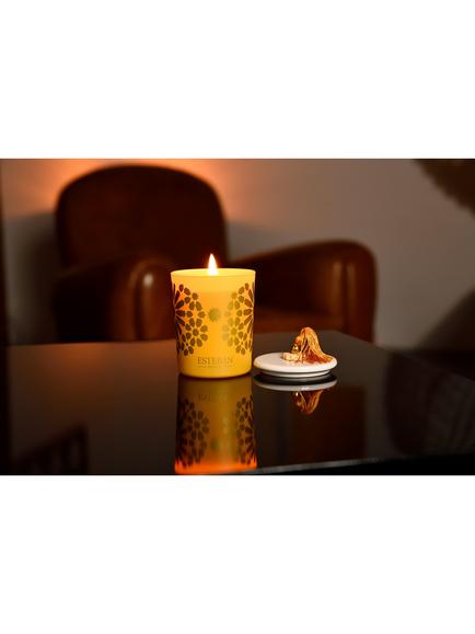 Esteban Ambre Scented Candle In a Box, 180g - view 2, 
