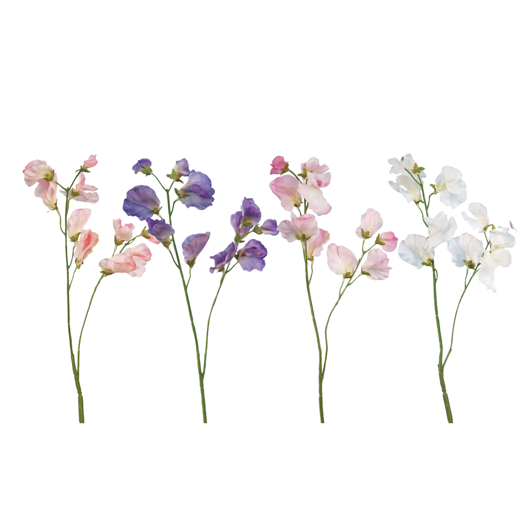 Sweet Pea Spray, Assorted