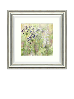 John Lewis Catherine Stephenson 'Agapanthus Grasses I' Framed Print, 50 x 50cm, 