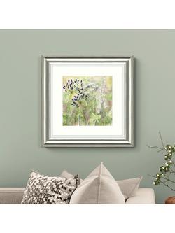 John Lewis Catherine Stephenson 'Agapanthus Grasses I' Framed Print, 50 x 50cm - view 2, 
