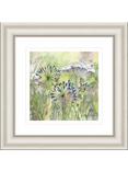 John Lewis Catherine Stephenson 'Agapanthus Grasses II' Framed Print, 50 x 50cm
