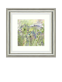John Lewis Catherine Stephenson 'Agapanthus Grasses II' Framed Print, 50 x 50cm, 