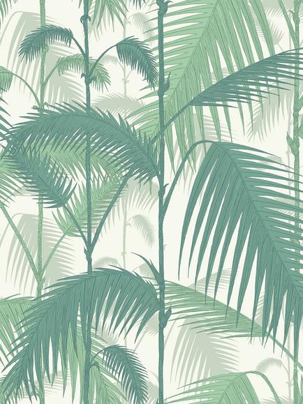 Cole & Son Palm Jungle Wallpaper, Forest Green On White, 95/1002