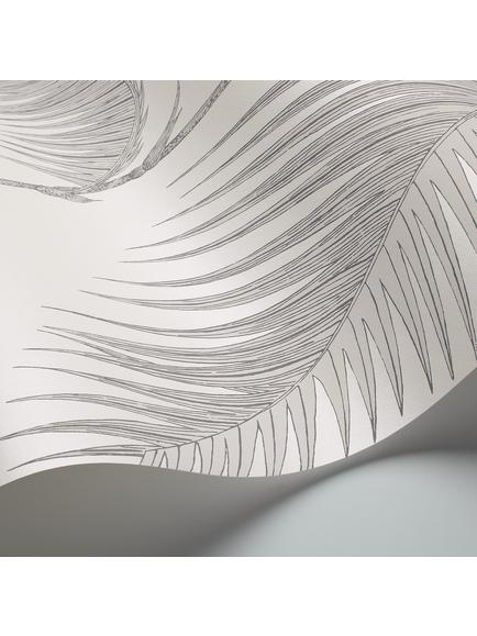 Cole & Son Palm Jungle Wallpaper - view 2, Soft Grey On White, 95/1008