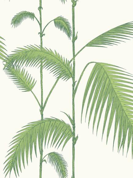 Cole & Son Palm Jungle Wallpaper, Leaf Green On White, 95/1009
